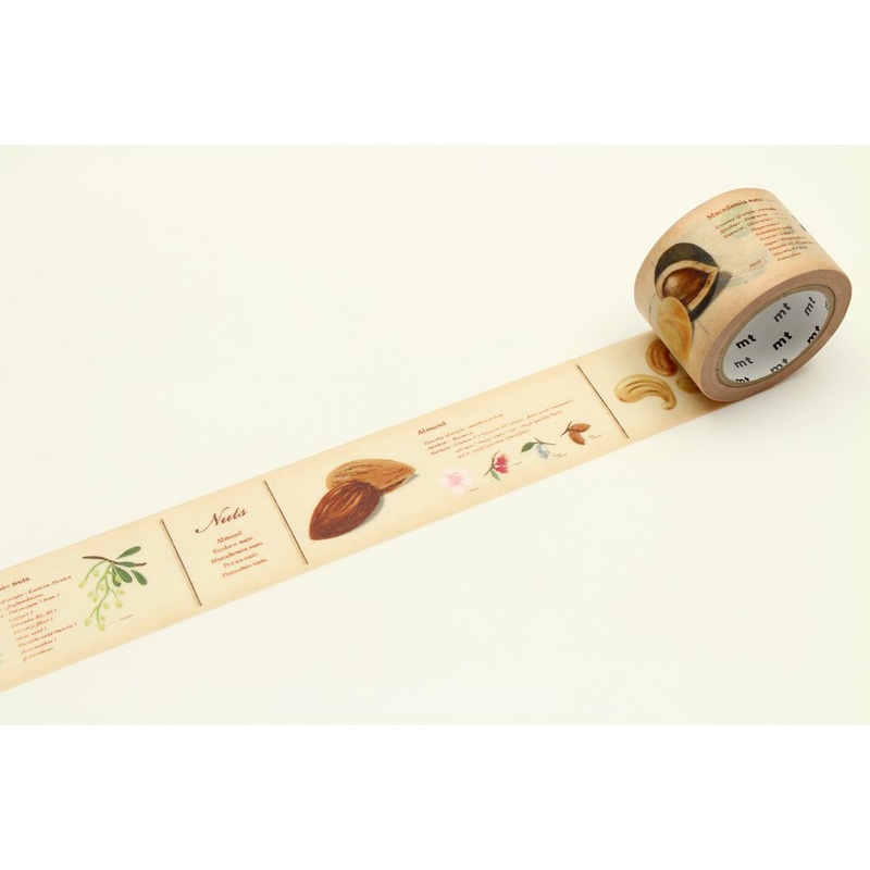 mt Washi Tape – Encyclopedia / Nuts