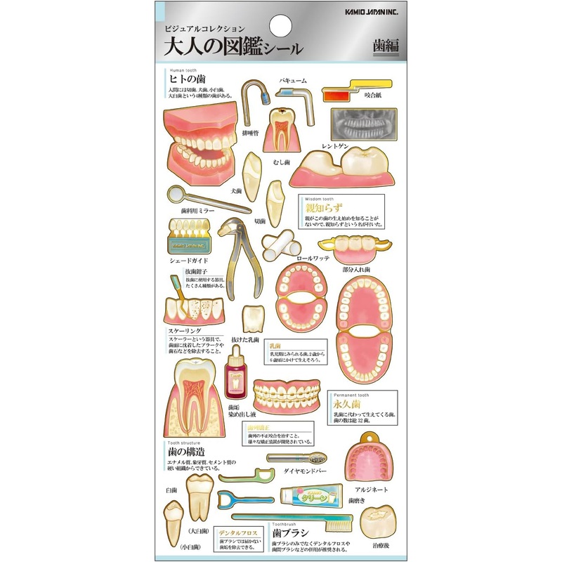 Kamio Adult Illustrated Picture Book Stickers – Teeth