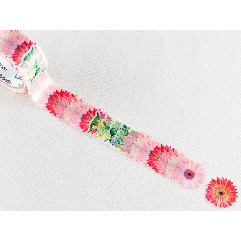 Bande Pink Daisies