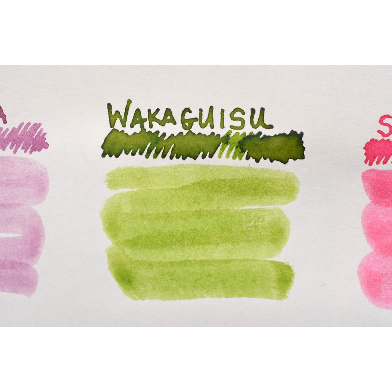 Sailor Shikiori Waka-Uguisu Ink – 20mL Bottle