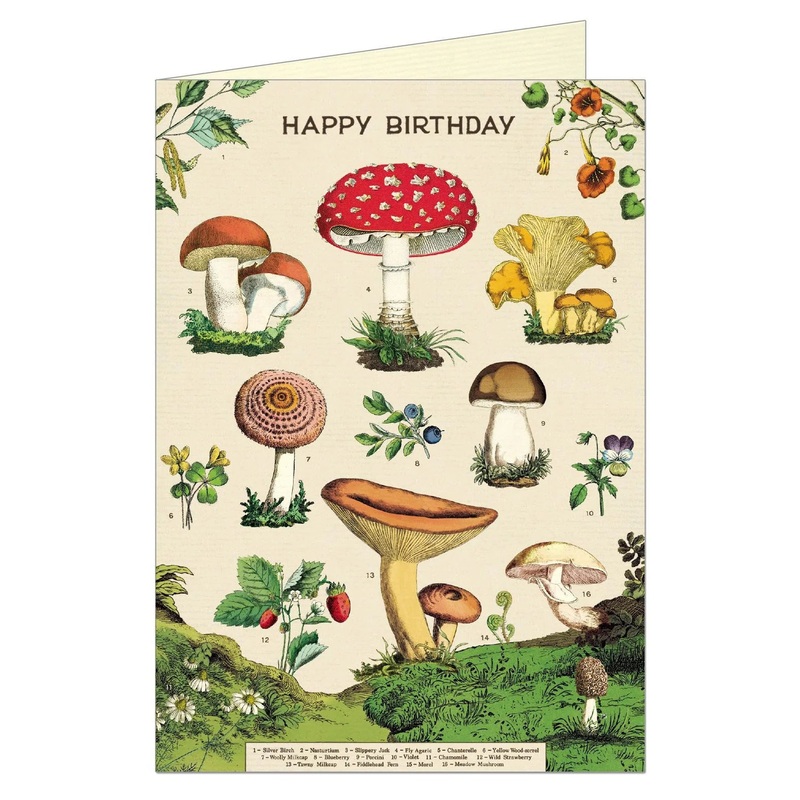 Happy Birthday Mushroom – Greeting Card