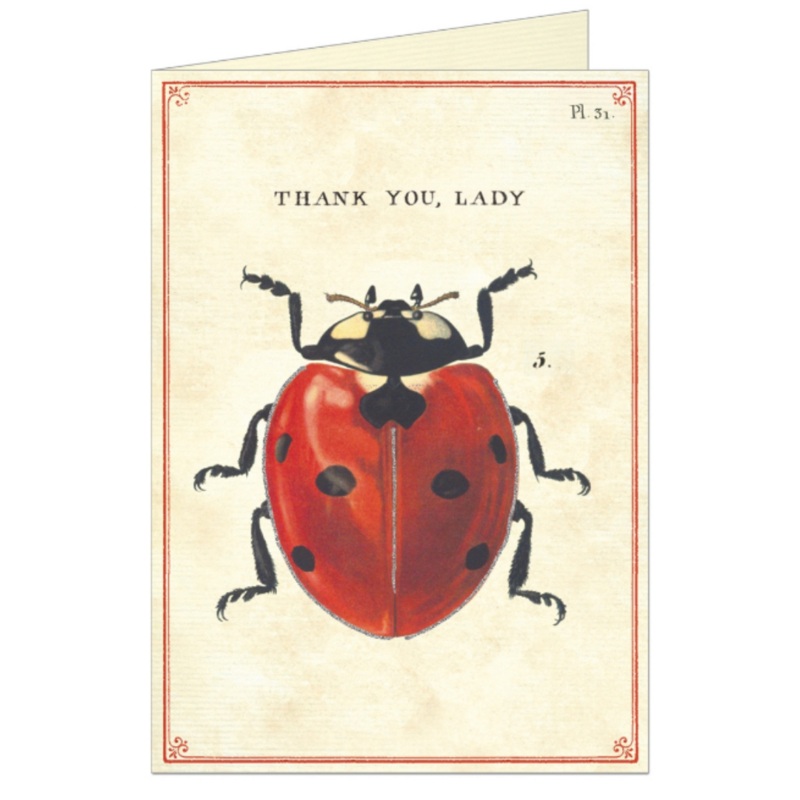 Thank You Lady – Greeting Card