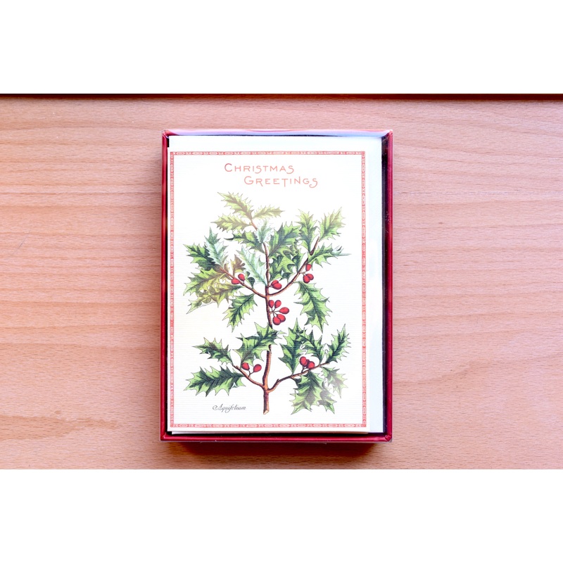 Holly Boxed Notes