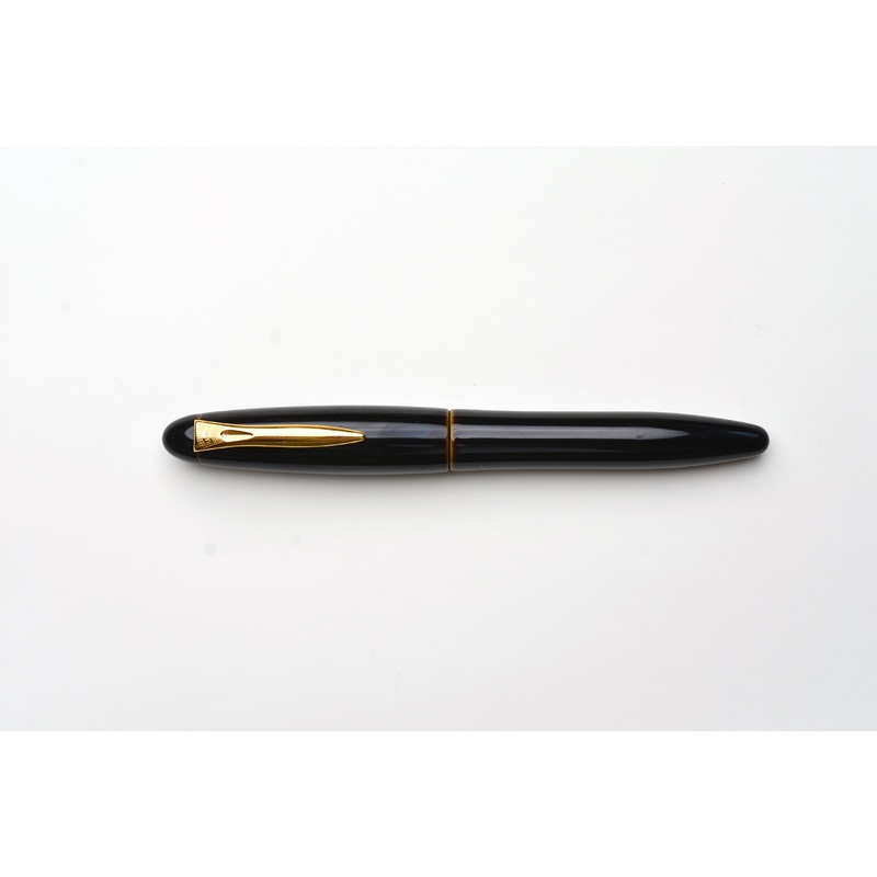 Platinum Izumo Tamenuri Fountain Pen – Biwatame Tan