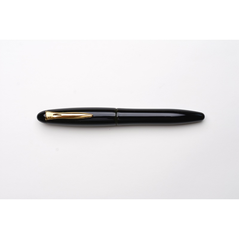 Platinum Izumo Tamenuri Fountain Pen – Soratame Green