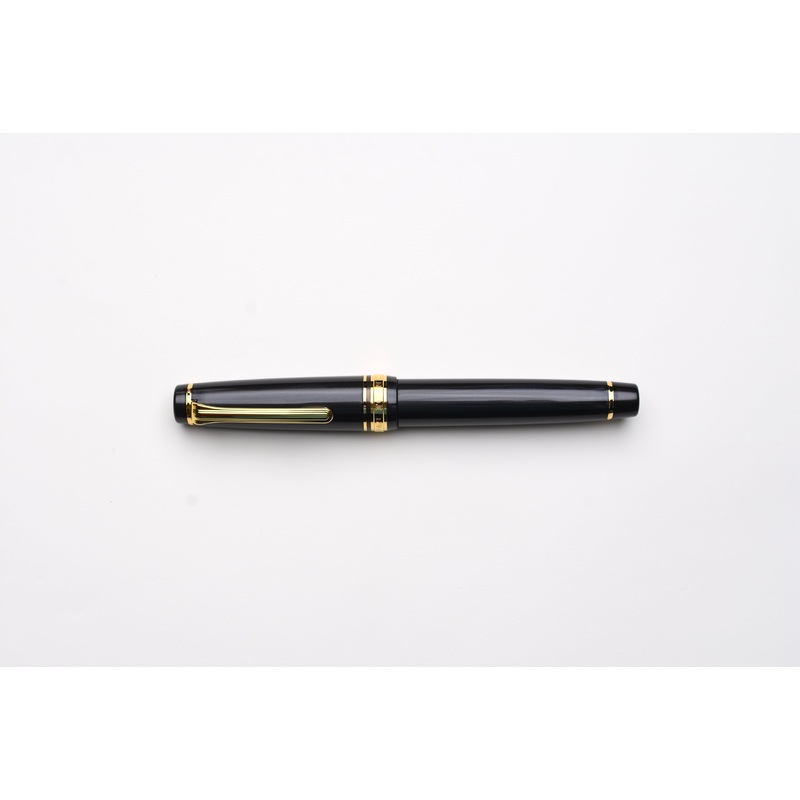 Sailor Pro Gear Fountain Pen – Knight to E4