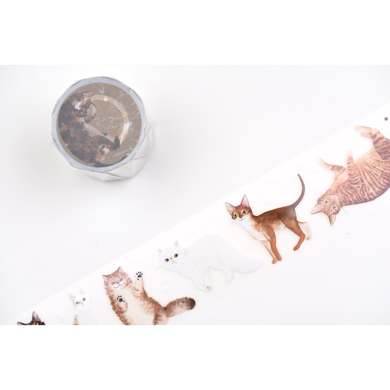 Some Sort of Fern Matte PET Tape – Cat – Ginger