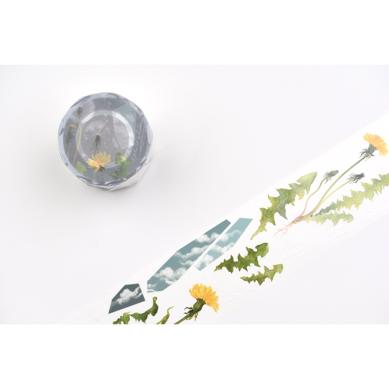 Some Sort of Fern Matte PET Tape – Dandelion