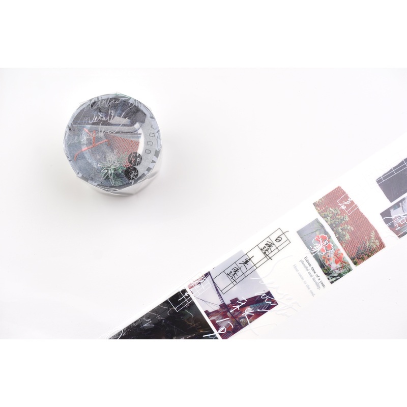 Some Sort of Fern Matte PET Tape – 24 Seasons