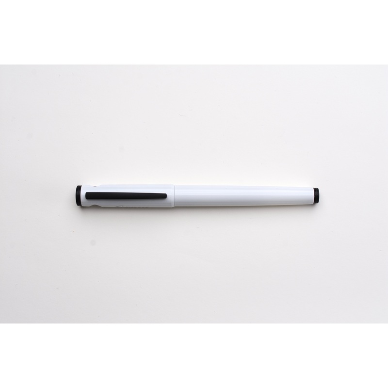Pilot Explorer Fountain Pen – White