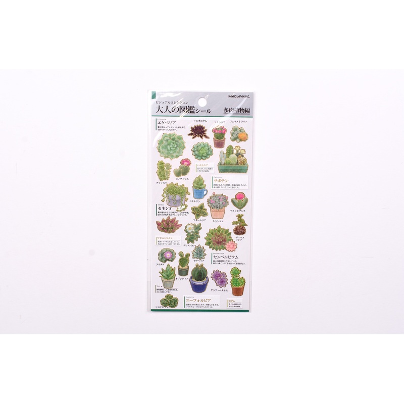 Illustrated Picture Book Stickers – Succulent