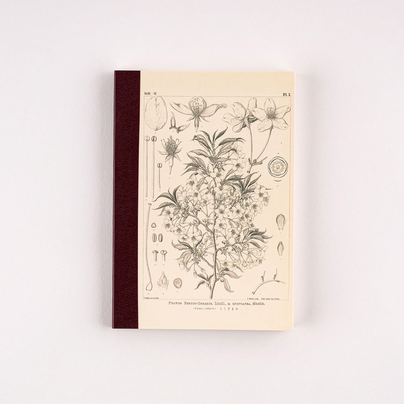 Hobonichi Plain Notebook – Yamazakura by Tomitaro Makino – A6