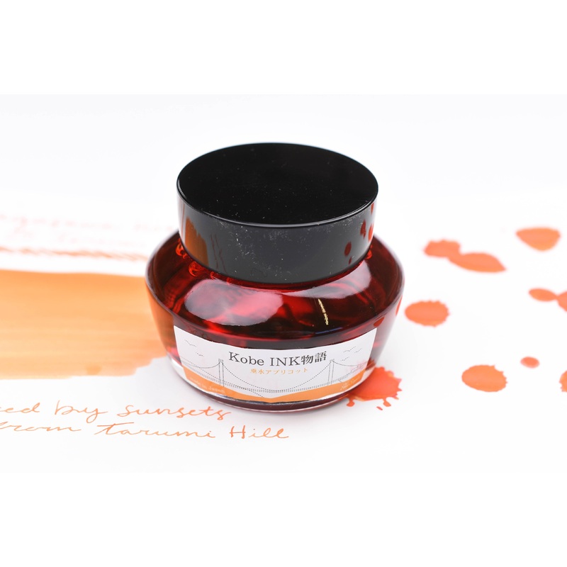 Nagasawa Kobe Ink No.25 Tarumi Apricot