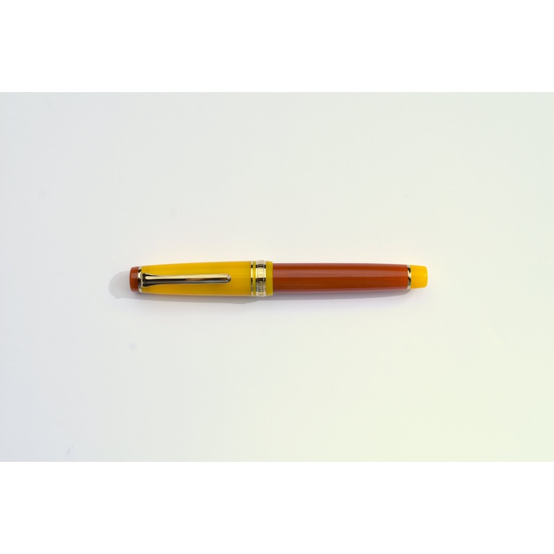 Sailor Pro Gear Fountain Pen – Moonlight Over the Ocean