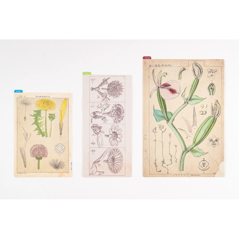 Hobonichi Pencil Board – Tomitaro Makino