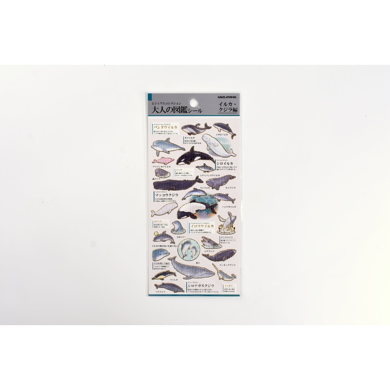 Kamio Illustrated Picture Book Stickers – Dolphins & Whales