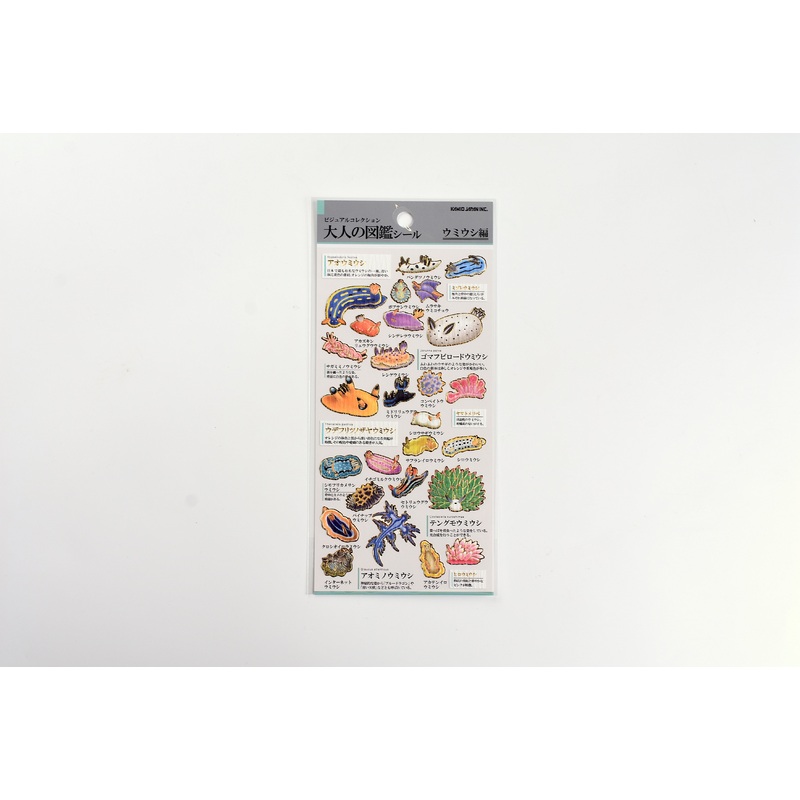Kamio Illustrated Picture Book Stickers – Nudibranch (Umiushi Sea Slug)