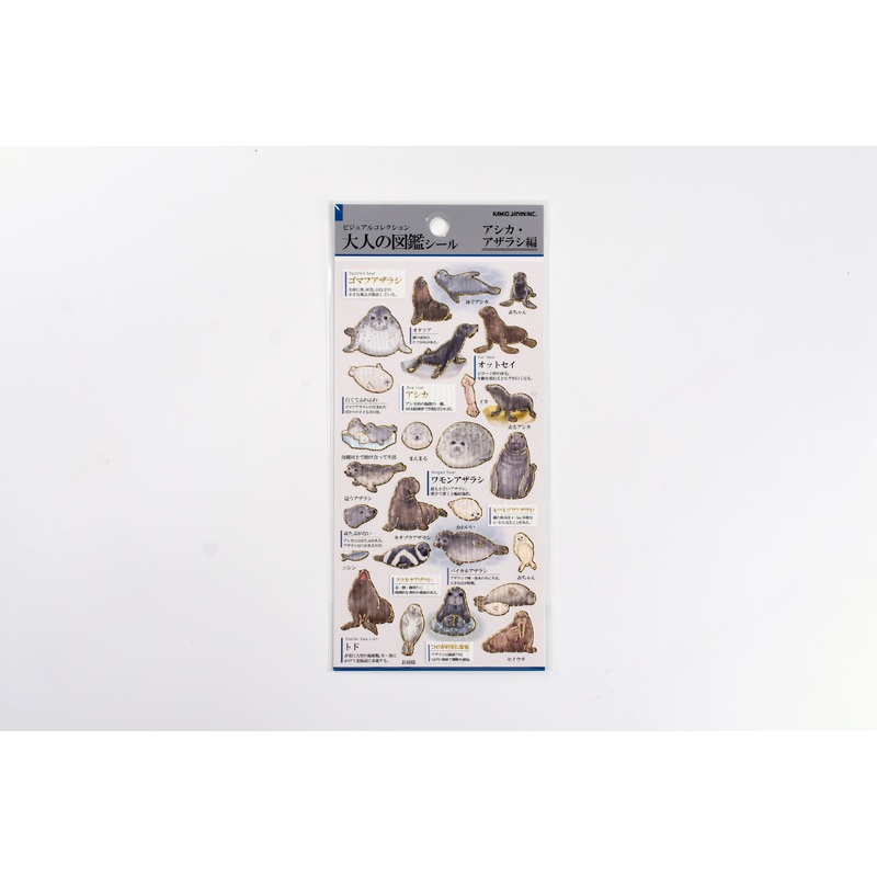 Kamio Illustrated Picture Book Stickers – Sea Lions & Seals