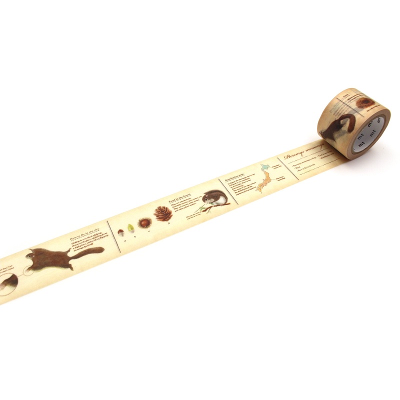 mt Washi Tape – Encyclopedia / Flying Squirrel
