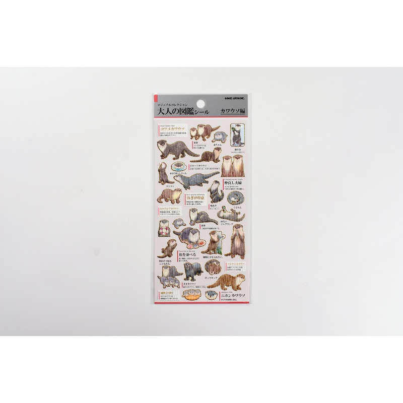 Kamio Illustrated Picture Book Stickers – Otters