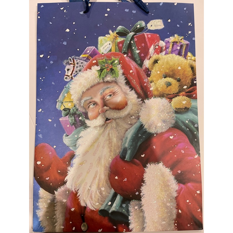 Santa-Themed Christmas Gift Bags – Classic Collection – Assorted
