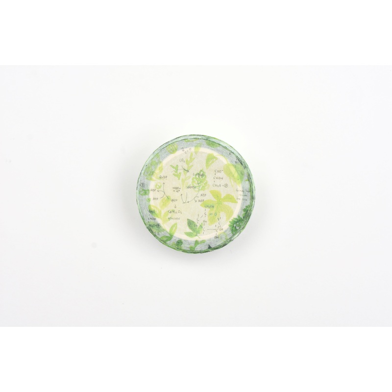 Ameruu Washi Tape – Photosynthse
