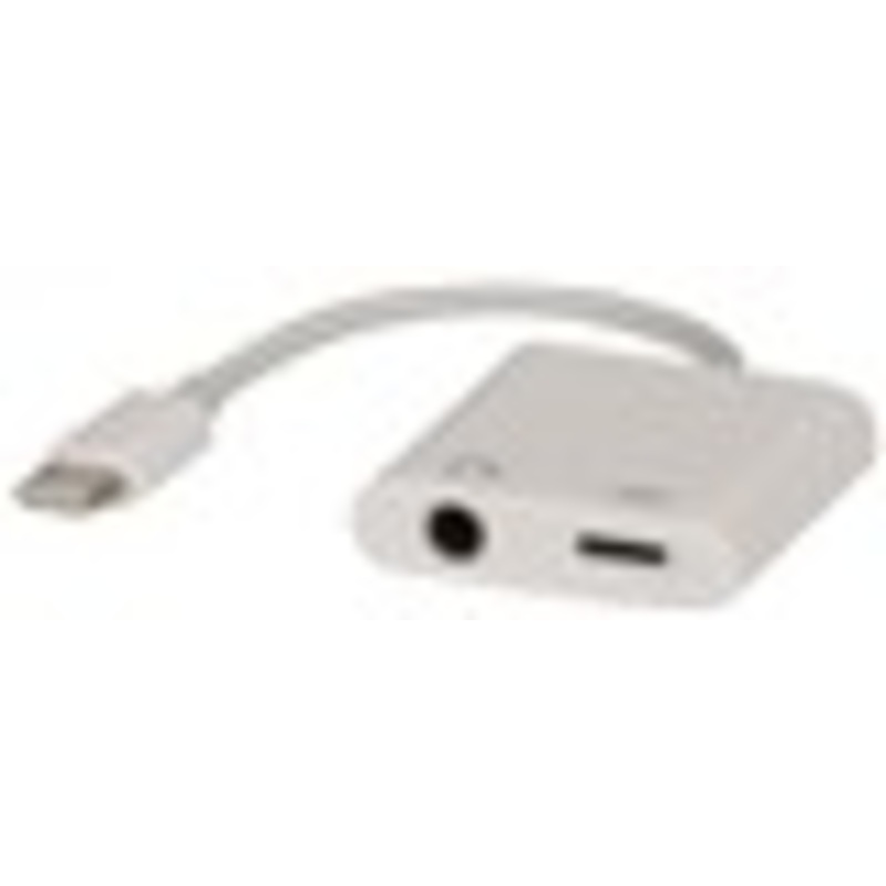 2-In-1 Lightning and 3.5mm Audio Adaptor
