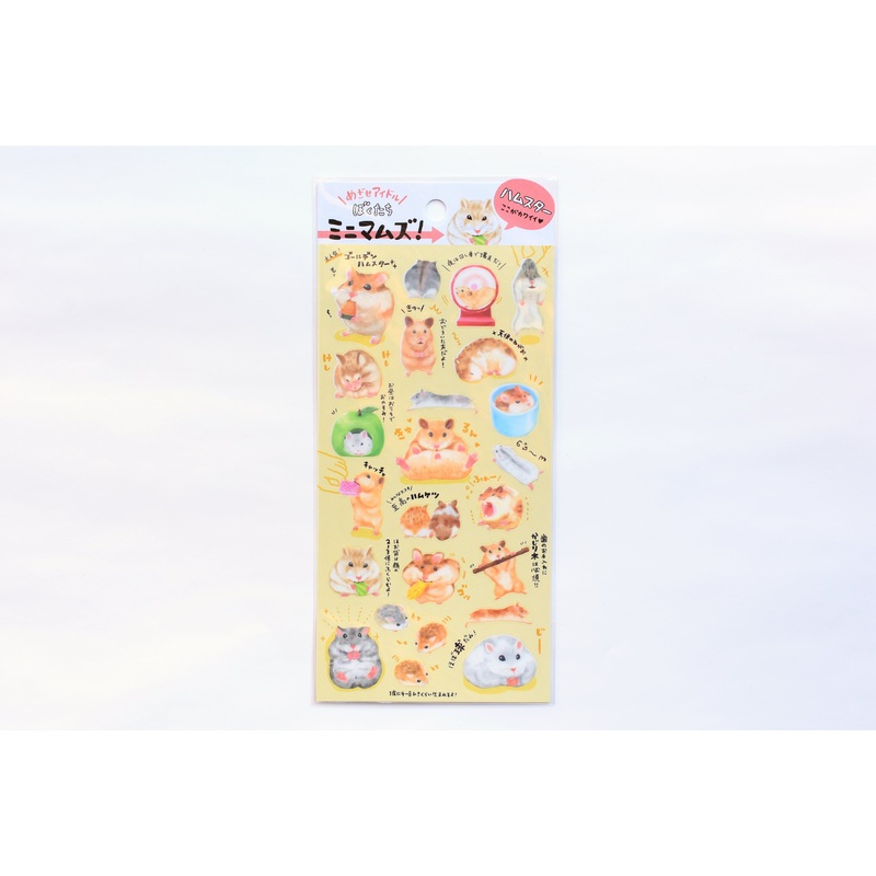 Miniature Pet Animals – Hamster
