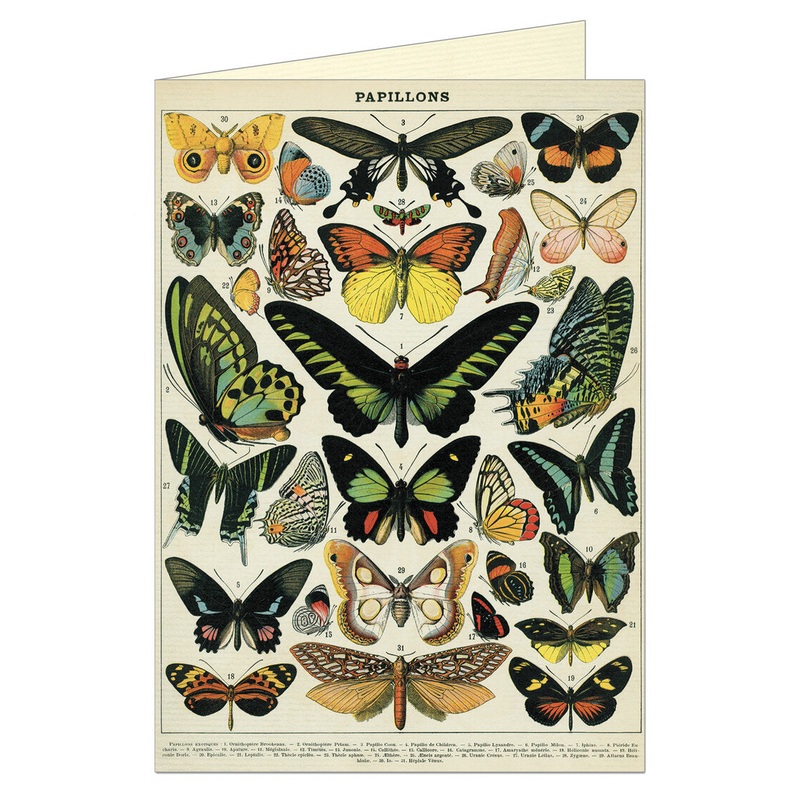 Butterflies – Greeting Card