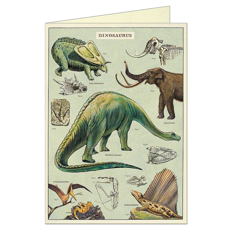 Dinosaurs – Greeting Card