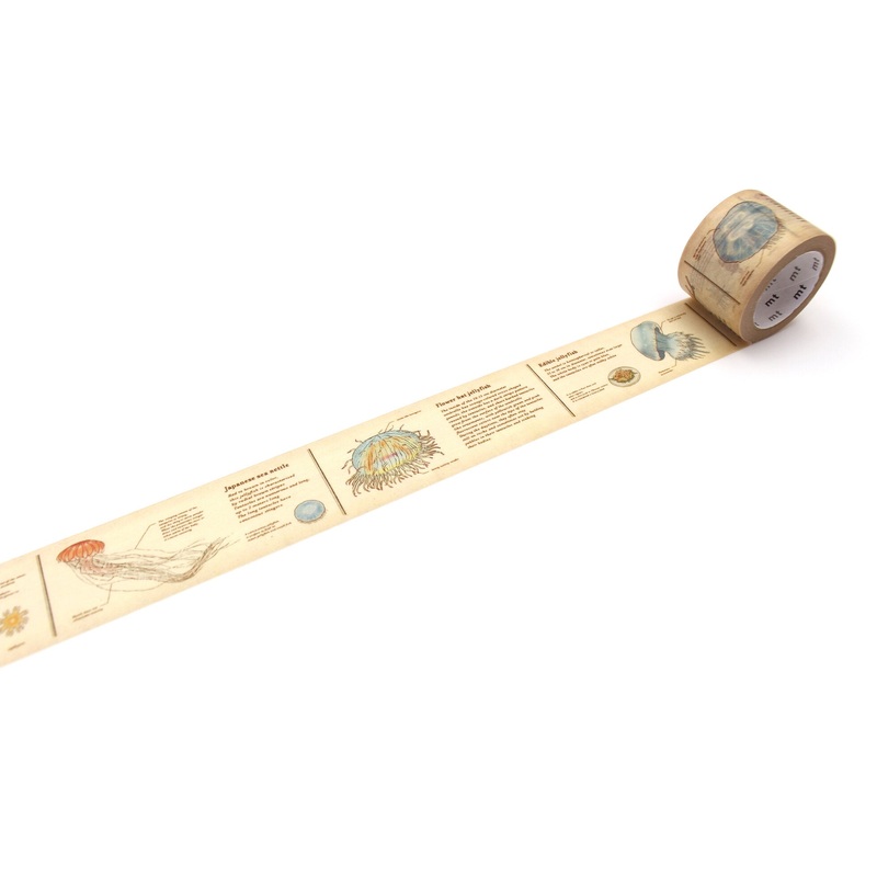 mt Washi Tape – Encyclopedia – Jellyfish